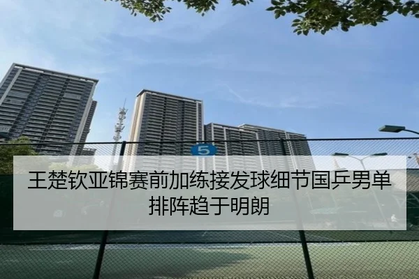 王楚钦亚锦赛前加练接发球细节国乒男单排阵趋于明朗